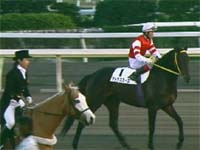 誘導馬が恐いよー