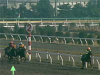 残り200m。前を交わす勢い