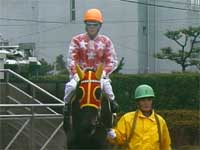 鞍上：五十嵐冬樹騎手