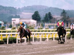 �S�[�����O�̓Ƒ�