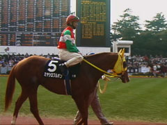 �p�h�b�N�i��ˋR��j