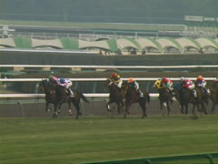 �S�[���O�A�����̍U�h