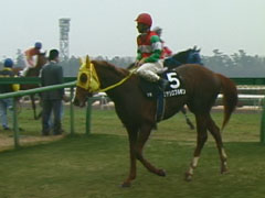 �A��̂͑�����ł�