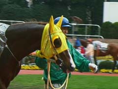 �u�����J�[���p