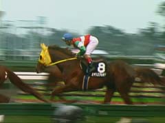 �����A�o�w