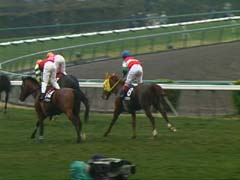 �S�[���I�ł��D�D�D