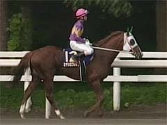 �R��F��t �D