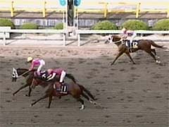 11���S�[��