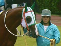 �p�h�b�N�A�v�X�̍ĉ�I