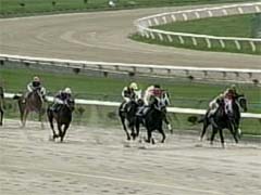 �S�[���O�̍U�h