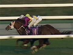 ���������ʂV�Ԏ�