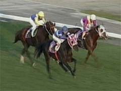 �S�[���O�̍U�h