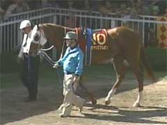 ���������ʂV�Ԏ�