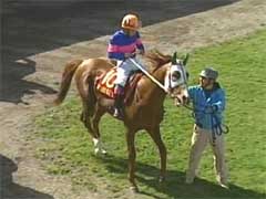 �S�[���O�̍U�h