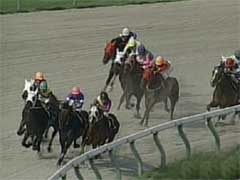 ���������ʂV�Ԏ�