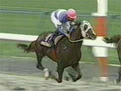 ���ʃX�^���h�O