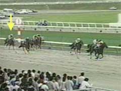 �S�[���O�D�I�[�X�~�������o��