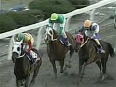 �X�^�[�g����A�S�Ԏ��