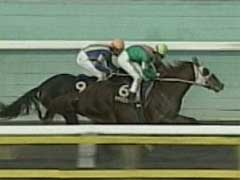 ���ʃX�^���h�O