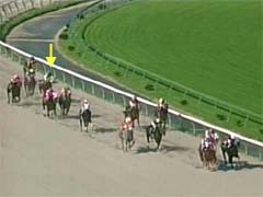 ����΂�Ō�̒���