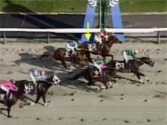 �W���S�[��