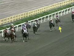 �P���ڂ̒���