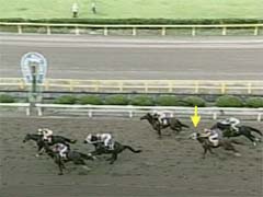 �T���S�[��