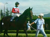パドック。佐藤厩務員。